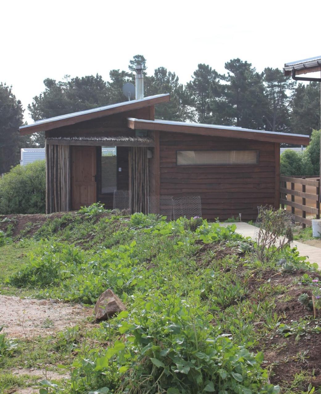 Cabanas Grulla ปิชิเลมู ภายนอก รูปภาพ